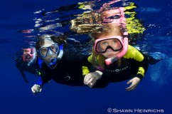 Snorkelers and Divers