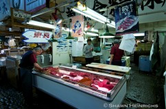 Whale Fishery 