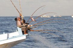 Pole and LIne Fishery 