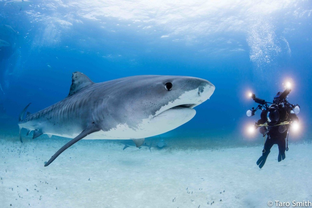 Shawn Heinrichs with Light & Motion Sola 4000's and 2500's a blazing