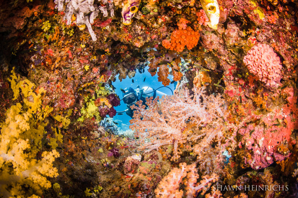 ShawnHeinrichs-20140405-090915-_B4V7235