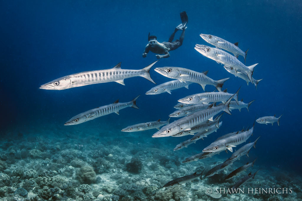 ShawnHeinrichs-20140406-122329-_B4V7875-Edit