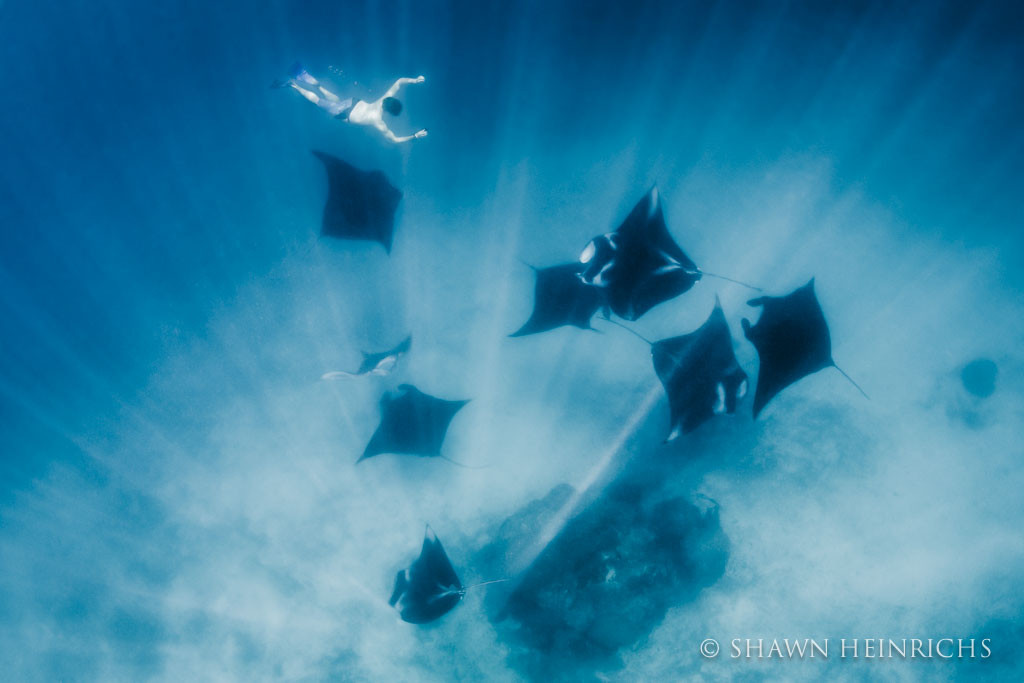 ShawnHeinrichs-20141127-100209-_B4V9519-Edit